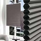 Custom Cordless Cellular Shades – Ausziehbare Wabenrollos von oben nach unten, dunkelgrau, verdunkelnd, plissiert, Fensterabdeckungen für Privatsphäre und Sonnenschutz (B x H): 105 x 200