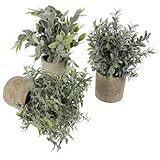 Zerodeko 3St simulierte Topfverzierung Künstliche Tischpflanze Kunstpflanzen im Freien simulierte grüne Pflanze Desktop-Bonsai gefälschte Topfpflanze Bonsai Pflanzen Bonsai-Figur Z