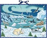 Wand-Adventskalender - Tiere der Arktis: Mit Infotexten zu den T