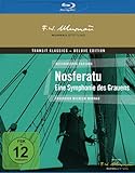 Nosferatu - Eine Symphonie des Grauens - inkl. 20-seitigem Booklet [Blu-ray] [Deluxe Edition]