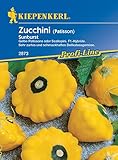 Kiepenkerl Zucchini Sunb