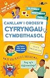 Darllen yn Well: Canllaw i Oroesi'r Cyfryngau Cymdeithasol (Welsh Edition)