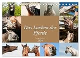 Das Lachen der Pferde - Lustige Gesichter (Tischkalender 2024 DIN A5 quer), CALVENDO Monatsk