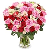 Blumenstrauß Rosenwunder, Rosen und Inkalilien, Rot und Rosa, 7-Tage-Frischegarantie, Qualität vom Floristen, handgebunden, perfekte Geschenkidee b