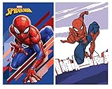 Theonoi 2 Teile - Kinder Handtuch Set – wählbar: Paw Patrol Frozen Ladybug Thomas Spiderman – 100% Baumwolle - Handtuch/Gesichtstuch (Spiderman)