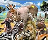 Malen nach Zahlen Erwachsene Lustige Tiere 40x50 cm Paint by Numbers DIY Öl Acryl Leinwand Bild Dekoration Funny Animals ohne R