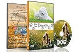 DVD für Hunde zum Anschauen - Entspannende Hundevideos - Entspannen sie Ihre Hunde mit supersüßen Hunden in natürlicher Landschaft von Stränden bis Schnee, um Ihren Hund zu beruhig