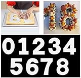 Maygone Große Zahlenkuchenform 0-9 Zahlen Set Backen Kuchen Formen Werkzeug für geschichtete Zuckerguss Creme Obst Kuchen Hochzeit Geburtstag Party Dekoration (30 cm)