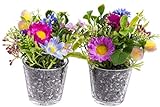 Flora-Seta GmbH künstliches Blumen-Arrangement im Glas (2 Stück) (lila-pink, Frühlingsblumen)