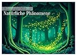 Wunder der Welt – Natürliche Phänomene (Wandkalender 2026 DIN A2 quer), CALVENDO Monatskalender: Ein Kalender mit farbenfrohen Comic-Illustrationen erstaunlicher Naturphänomene. (CALVENDO Orte)