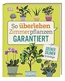 So überleben Zimmerpflanzen garantiert: Grüner Daumen für Anfäng