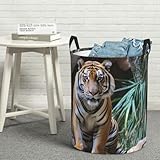 Tiger in the zoo Wäschekorb, groß, freistehend, faltbar, wasserdicht, mit Griffen, für Decke, Schlafzimmer, Badezimmer, Größe M