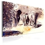murando - Bilder Elefant 120x80 cm Vlies Leinwandbild 1 tlg Kunstdruck modern Wandbilder XXL Wanddekoration Design Wand Bild - wie gemalt Natur Tier grau beige g-B-0036-b