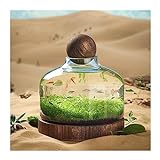 Aquarium, Glasflasche, ökologische Kultur, Mikrolandschaft, selbstzirkulierender Kleiner Pflanzentank mit Holzsockel, Desktop (Größe: M) (einfarbig, M)
