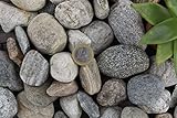 25 kg Bergkies ungewaschen Körnung 30-60 mm bunt Mix Rheinkies Kieselsteine Zierkies Steine Deko Garten Wegk
