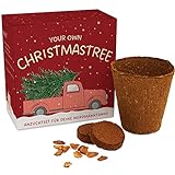 Weihnachtsbaum Anzuchtset als Adventskalender Füllung - Mini Geschenk als Idee für den Adventskalender für Frauen und Männer - Nordmann-Tanne zum selb