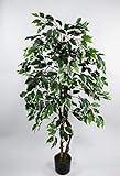 Ficus Excotica 120cm grün-Creme DA Kunstbaum Dekobaum Kunstpflanzen künstlicher Baum Birkenfeig