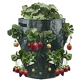yunyu 11 Gallone Grow Garden Bag, 2er Packung Kartoffel-Erdbeer-Pflanzer-Beutel Pflanzen Topfpflanze Wanne für Erdb