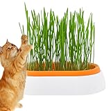 JAPIIM Katzengrasbehälter | Hydroponischer Katzengrastopf - Keimtablett für Katzen, Hunde und andere Haustiere im Innen- und Außenbereich, verhindert Haarballen und fördert die Verdauung, perfek