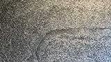 Dünnschiefer Schieferfurnier Stone Veneer Steinfurnier Wandverblender Echtstein Steinwand Glimmerschiefer Steintafel Wandverkleidung Naturstein Steintapete Marmor Sandstein (Stein, 20 x 15 cm)
