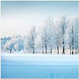 Wallario Glasbild Verschneite Bäume in Einer Winterlandschaft - 50 x 50 cm Wandbilder Glas in Premium-Qualität: Brillante Farben, freischwebende Optik