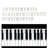 Klaviertasten-Anleitung für Anfänger, mit Kristallbox, abnehmbare Klaviertastatur-Notizen-Etiketten zum Lernen, perfekt für Klaviere mit 88 Tasten und 61 Tasten (beliebte Regenbogenfarben)
