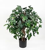 Ficus Benjamini 60cm grün BE künstlicher Baum Pflanze Kunstbaum Dekobaum Kunstpflanzen Zimmerpflanze Birkenfeig