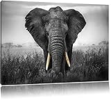 Pixxprint prachtvoller Elefant schwarz/weiß Format: 100x70 auf Leinwand, XXL riesige Bilder fertig gerahmt mit Echtholzrahmen, Kunstdruck auf Wandbild mit R