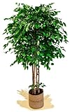 Künstlicher Ficus mit Naturholzstämmen, hergestellt aus den besten Materialien, ideal für die Heimdekoration, künstlicher Baum (190 cm) (Ficus)
