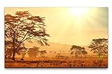 Paul Sinus Art Bilder XXL Afrika Landschaft 120x70cm Wandbild auf Leinw
