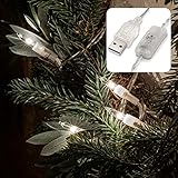 hellum Lichterkette innen, 10er LED Lichterkette mit Schalter, mit Schalter und USB-Anschluss, beleuchtete Länge 1,08m, Kabel transparent, Lichtfarbe warmweiß  59 Lumen, 2er Set 150674