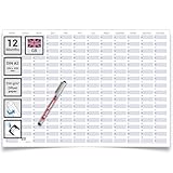 Gigatime din A2 Dauerkalender/Geburtstagskalender Format 59,4 x 42,0 cm mit Marker dauerhaft wiederverwendbarer Jahresplaner feucht abwischbar. Englische Monatsangab