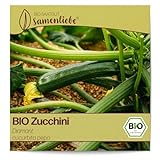 Samenliebe BIO Zucchini Samen Diamant grün 10 Samen samenfestes Gemüse Saatgut für Gewächshaus Freiland und Balkon BIO Gemü