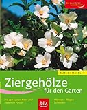 Ziergehölze für den Garten: Die 250 besten Arten und Sorten im Porträt Pflanzen · Pflegen · S