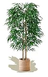Maia Shop Artificial Bamboo Tree 150 cm for Home and Office Decoration, Tree, Hyper-Realistic Decorative Artificial Plant with Natural Trunk and Canes Artificial Bamboo, D