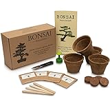 ANISTA - Bonsai Anzuchtset - Züchte Deine eigenen Bonsaibäume. 4 Sorten Bonsai Samen in unserem kompletten Pflanzset. Schöne Geschenk