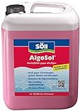 Söll 80427 AlgoSol, 5 l - hocheffektive Teichpflege gegen Algen im Teich - Algenmittel mit Lichtfilter gegen Teichalgen/Schwebealgen/Blaualg
