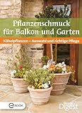 Pflanzenschmuck für Balkon und Terrasse: Kübelpflanzen - Auswahl und richtige Pfleg