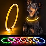 Hundehalsband Leuchtend DQGHQME LED Leuchthalsband Hund USB Aufladbar Wasserfest Leuchtendes Halsband Hund Langhaar Längenverstellbar für Kleine Mittel Große Hunde bei Nacht - mit 3 Leuchtmodi, Gelb