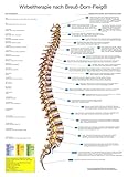 Wirbeltherapie nach Breuß-Dorn-Fleig® (Din A2)
