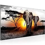 Runa Art Wandbild Afrika Elefant 1 Teilig Modern Bild auf Vlies Leinwand Panorama Wohnzimmer Schlafzimmer Grau Orange 007612
