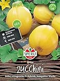 Sperli Premium Zucchini Samen Midas | Früh | Ertragreich | Zuchini Saatgut | Zuchini Samen | Runde Zucchini Samen | Zucchini Rund | Saatgut Z