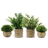YVONNEYI 4 Stück Künstliche Pflanzen, Mini Kunstpflanze Eukalyptus, Künstliche Pflanzen Plastik für Schlafzimmer Badezimmer Küchen Zuhause Innen Dek