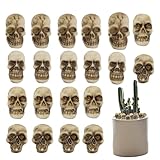 Halloween Schädel | Miniatur-Schädel-Figuren | 20 Teile Sammler-Schädel-Requisiten Mit Gothic-Detail Für Schreibtisch Bücherregal Zimmer Deko Im Geisterhaus-S