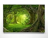 Wunderschöne Wald Leinwand Landschaft, Foto-Motiv – Wie gemalt – als 110x50cm großes Wandbild. Fertig aufgespannt auf Holzrahmen. Als Hintergrund und Deko für Wohnzimmer & S