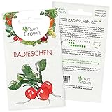 Radieschen Samen: Premium Radieschen Saatgut zur Anzucht von ca. 200 Radieschen Pflanzen – Beste Gemüse Samen für Balkon und Garten kaufen – OwnGrown Samen bestellen für die Radieschen Pflanze…