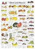 Obst und Nüsse (Planet-Poster-Box)