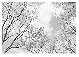 Fototapete Baumkronen Wald 3D schwarz weiß Baum des Lebens Wohnzimmer Schlafzimmer Wandtapete Vlies Tapete UV-Beständig Montagefertig (368x254 cm - 4 Bahnen)
