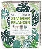 Alles über Zimmerpflanzen: Auswählen, gestalten, pflegen: Inklusive 175