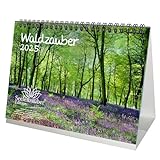 Waldzauber DIN A5 Tischkalender für 2025 Baum Bäume Wald Natur - Seelenzaub
